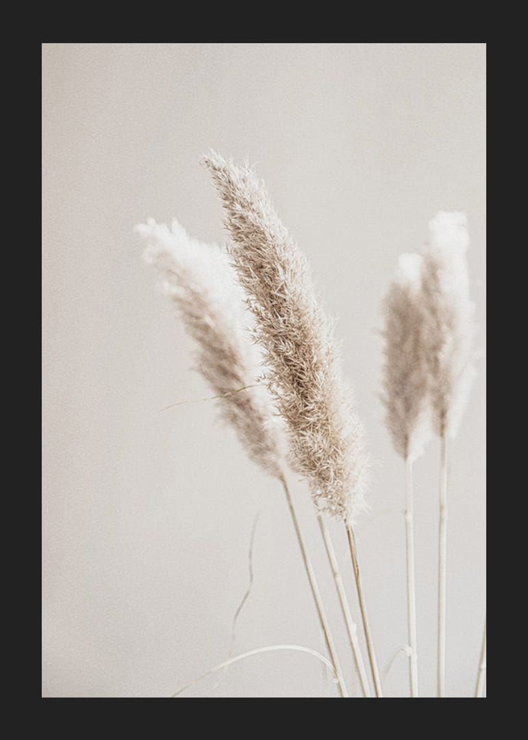 Primo piano di cannucce di canna secche nei toni del beige, fotografico-12