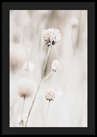 Close-up of dried flowers in beige tones against light background-4