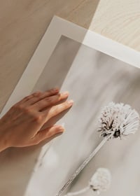 Close-up of dried flowers in beige tones against light background-9