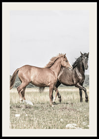 Two brown horses on meadow in gentle natural tones-2
