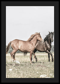 Two brown horses on meadow in gentle natural tones-4
