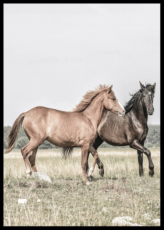 Two brown horses on meadow in gentle natural tones-12