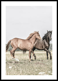 Two brown horses on meadow in gentle natural tones-0