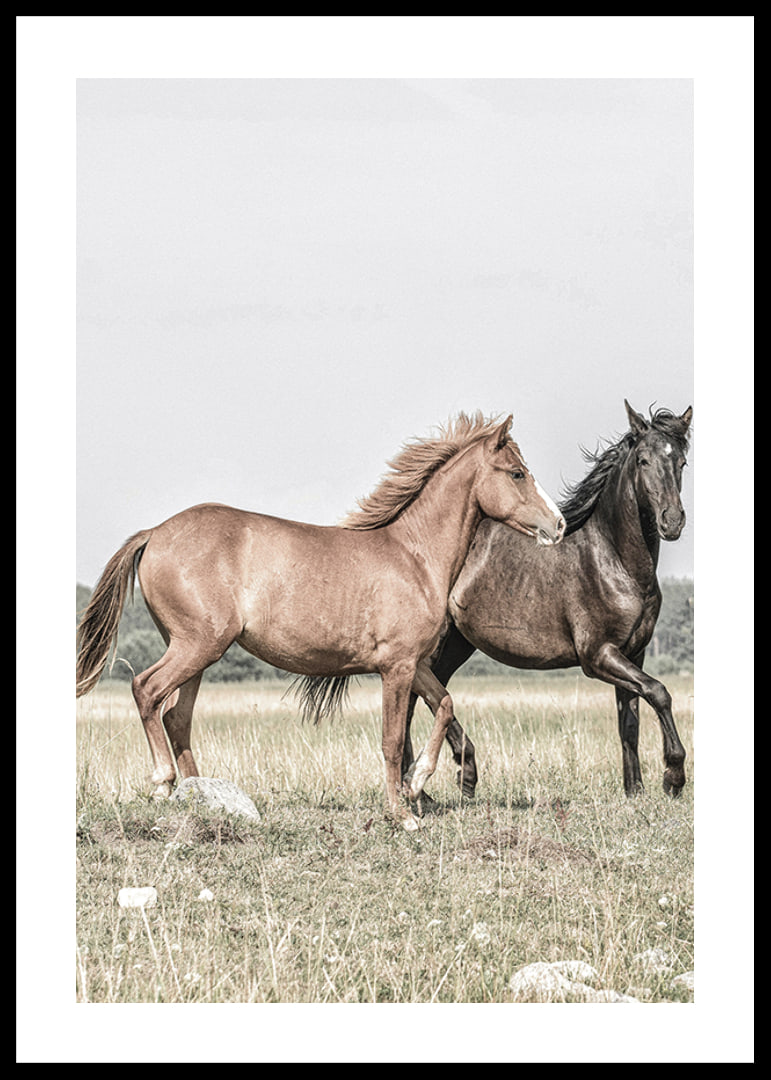 Two brown horses on meadow in gentle natural tones-12