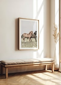Two brown horses on meadow in gentle natural tones-8