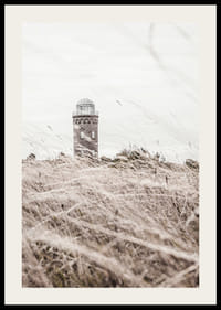 Photographic motif of lighthouse behind waving dry grass field-2