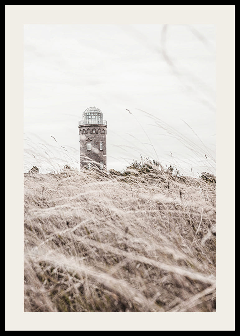 Photographic motif of lighthouse behind waving dry grass field-12