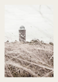 Photographic motif of lighthouse behind waving dry grass field-3