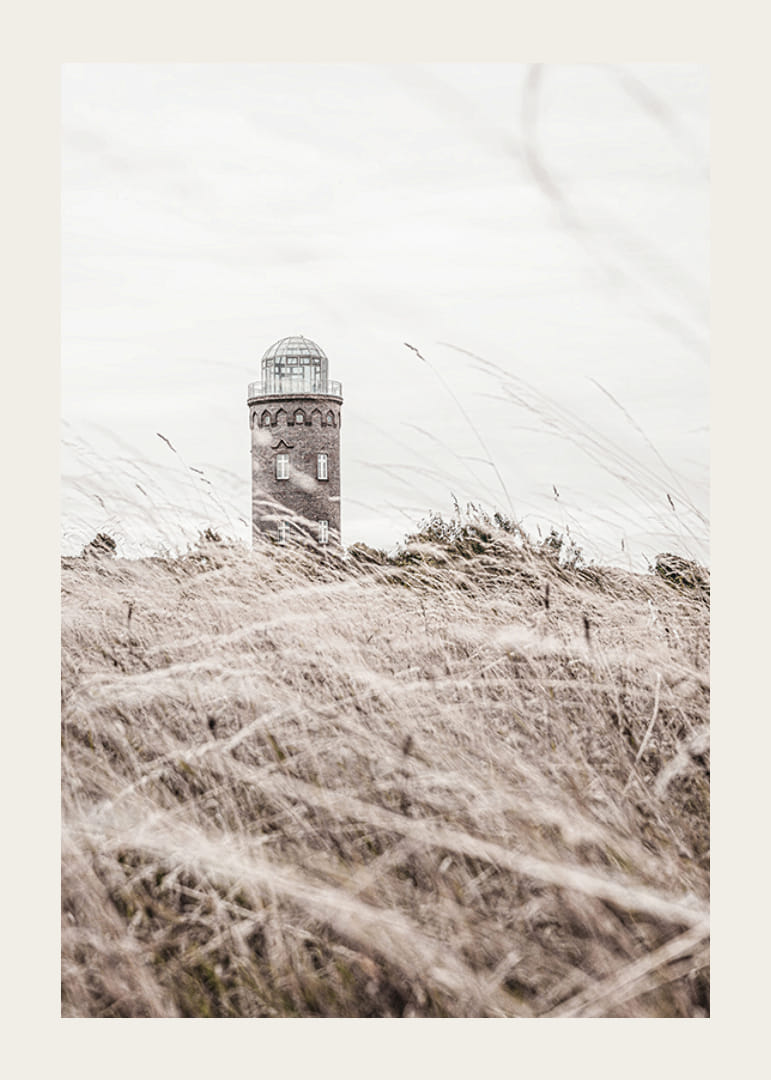 Photographic motif of lighthouse behind waving dry grass field-12