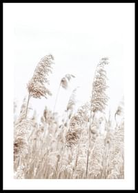 Boho Dried In Nature No5-0
