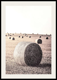 Photographic motif of hay bales in an open field in pale tones-2