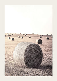 Photographic motif of hay bales in an open field in pale tones-3