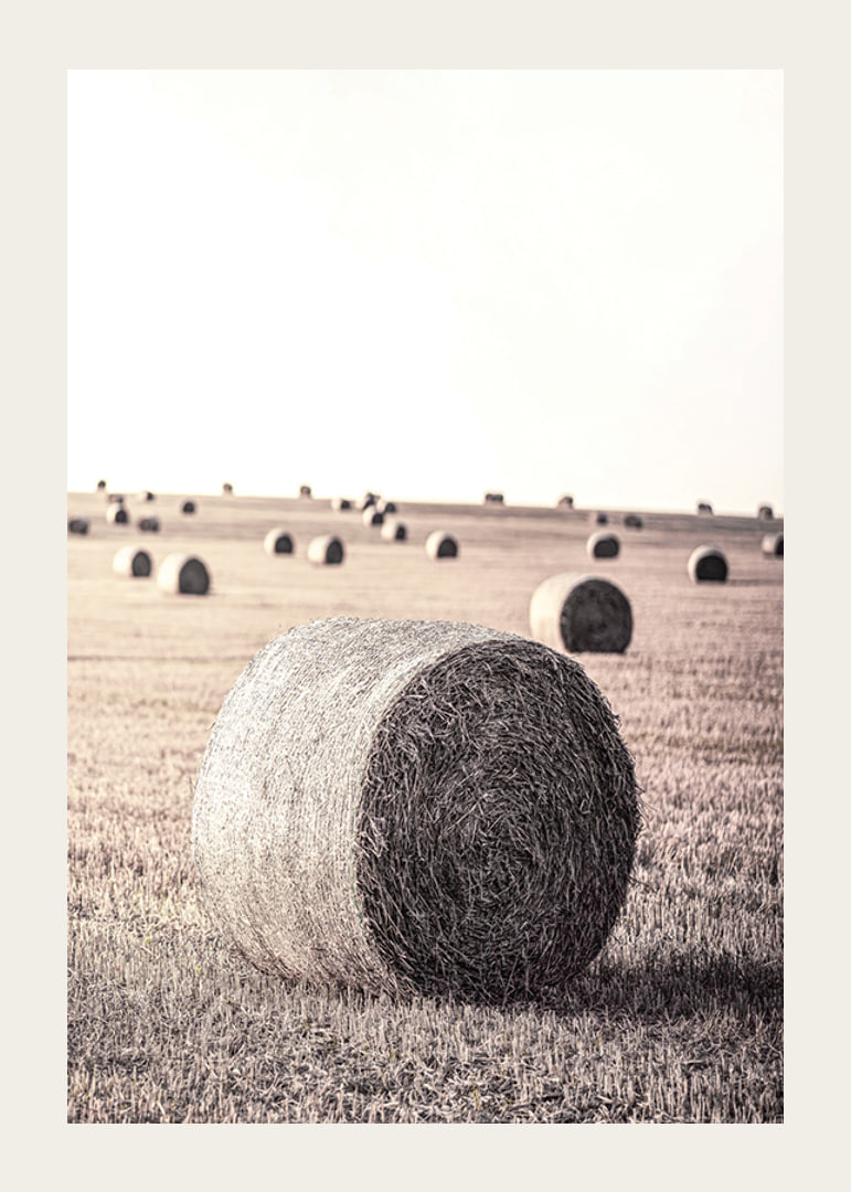 Photographic motif of hay bales in an open field in pale tones-12