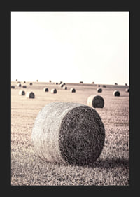 Photographic motif of hay bales in an open field in pale tones-5