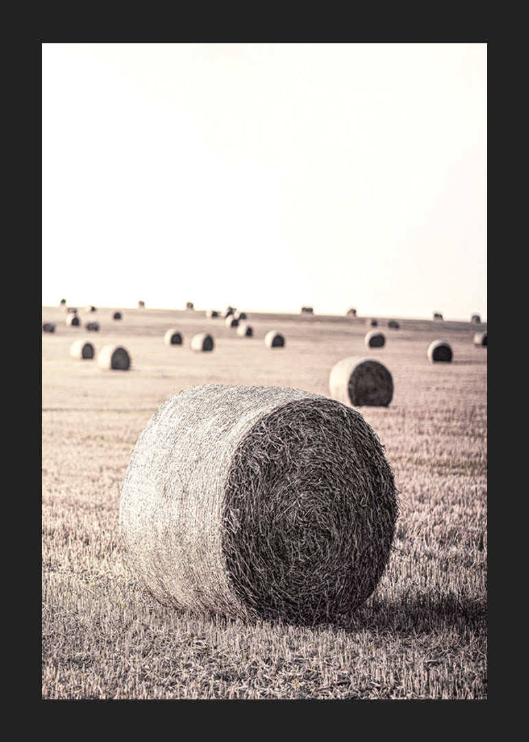Photographic motif of hay bales in an open field in pale tones-12