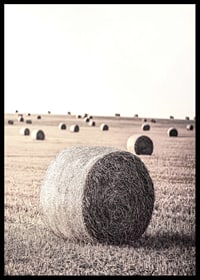 Photographic motif of hay bales in an open field in pale tones-6