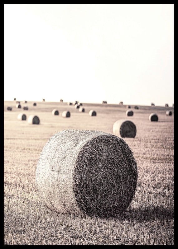 Photographic motif of hay bales in an open field in pale tones-12