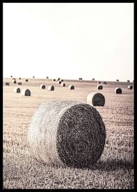 Hay Bale-2