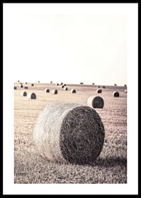 Photographic motif of hay bales in an open field in pale tones-0