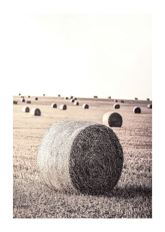 Plagát Hay Bale