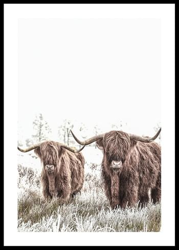 Poster Scottish Highlanders No2