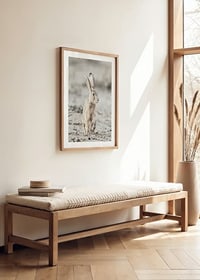 Närbild av hare med stora öron i ljusa, beige toner-8