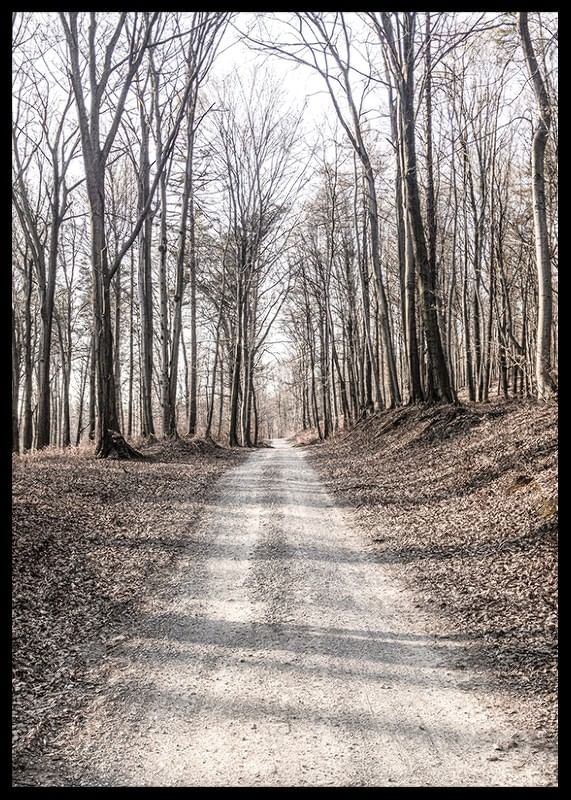 Gravel Road In Autumn Forest-12