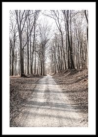 Gravel Road In Autumn Forest-0