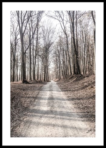 Póster Gravel Road In Autumn Forest