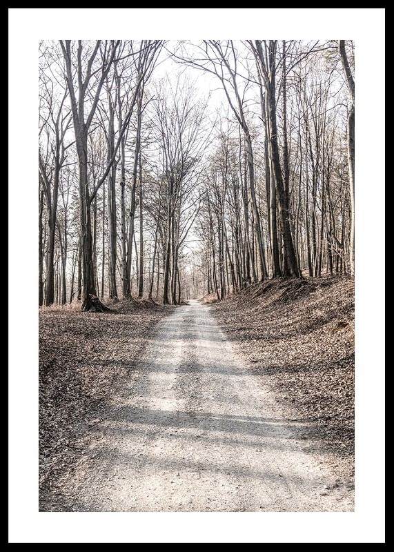 Gravel Road In Autumn Forest-12