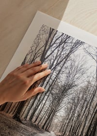 Fotografi av grusvei gjennom løvskog med nakne høsttrær-9