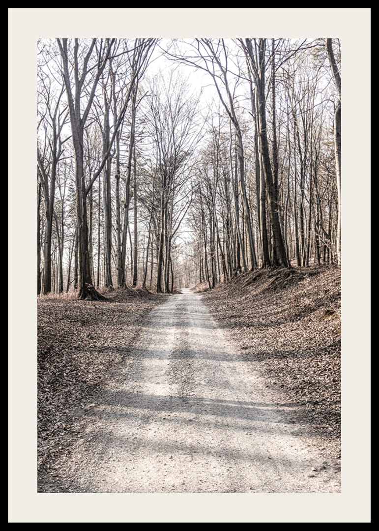 Fotografi av grusväg genom lövskog med nakna höstträd-12