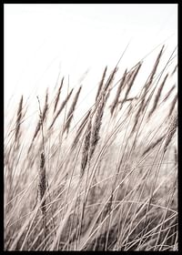 Boho Dried In Nature No1-2