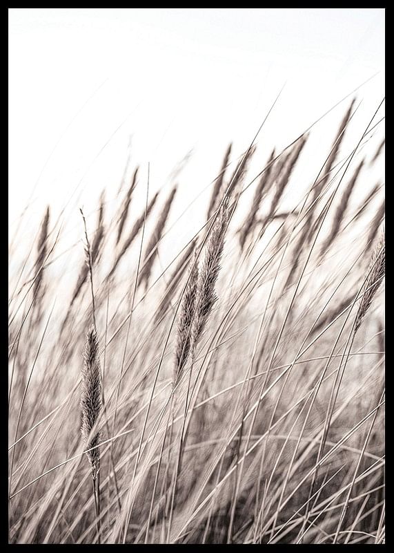 Boho Dried In Nature No1-12
