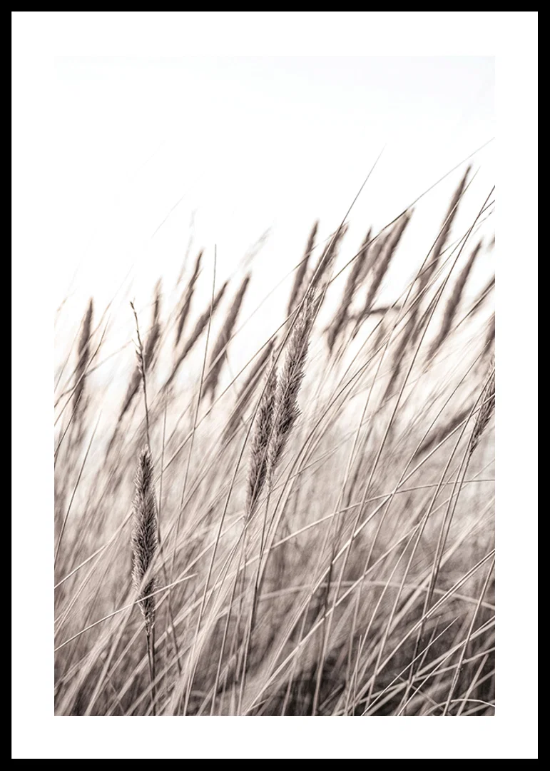 Photograph of dried blades of grass in beige and brown shades-12