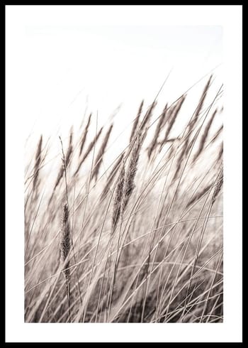 Poster Boho Dried In Nature No1