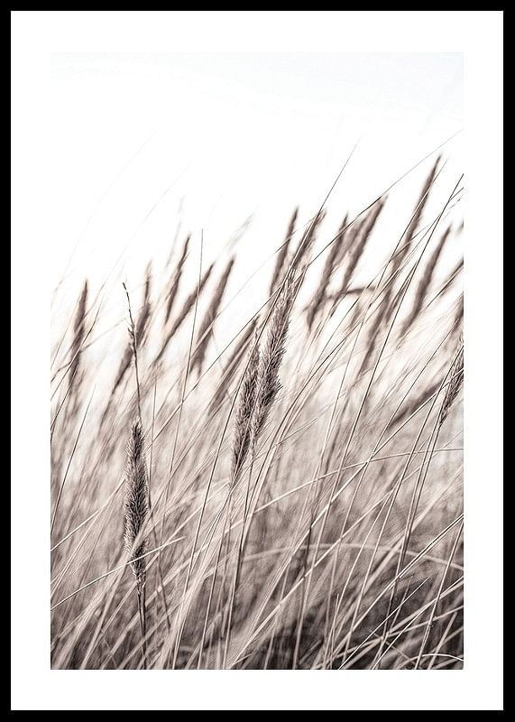 Boho Dried In Nature No1-12