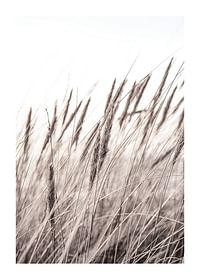 Boho Dried In Nature No1-1