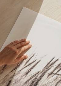 Fotografi af tørrede græsstrå i beige og brune nuancer-9
