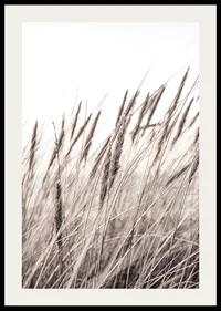 Photograph of dried blades of grass in beige and brown shades-2