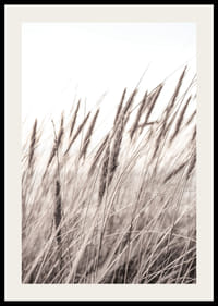 Fotografía de hojas de hierba secas en tonos beige y marrón.-2