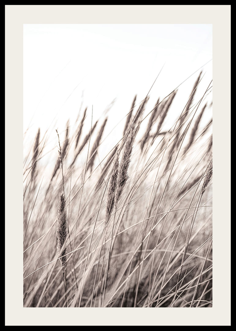 Fotografía de hojas de hierba secas en tonos beige y marrón.-12