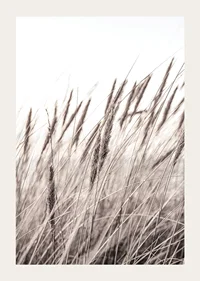 Photograph of dried blades of grass in beige and brown shades-3