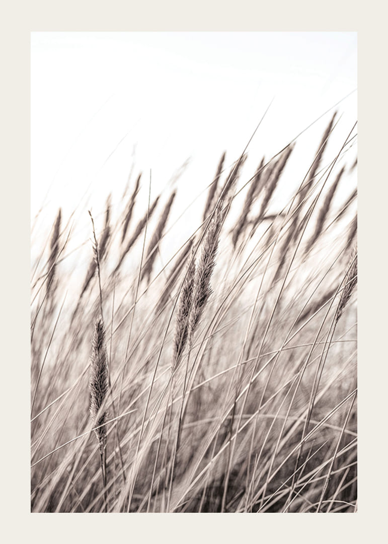 Fotografía de hojas de hierba secas en tonos beige y marrón.-12