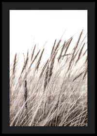 Photograph of dried blades of grass in beige and brown shades-4