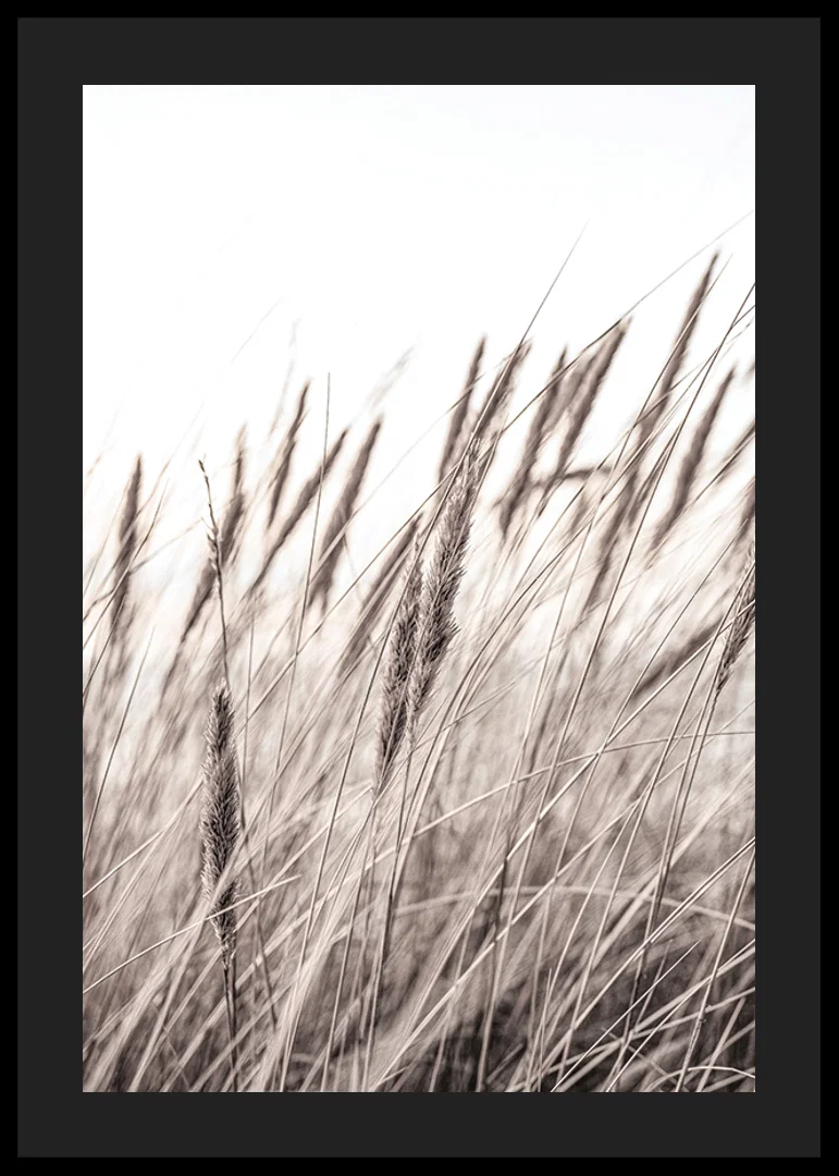 Photograph of dried blades of grass in beige and brown shades-12