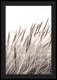 Fotografía de hojas de hierba secas en tonos beige y marrón.-4