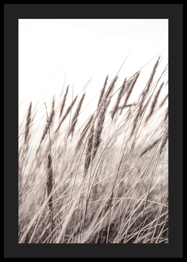 Fotografía de hojas de hierba secas en tonos beige y marrón.-12