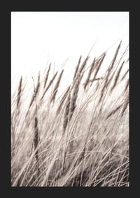 Fotografía de hojas de hierba secas en tonos beige y marrón.-5