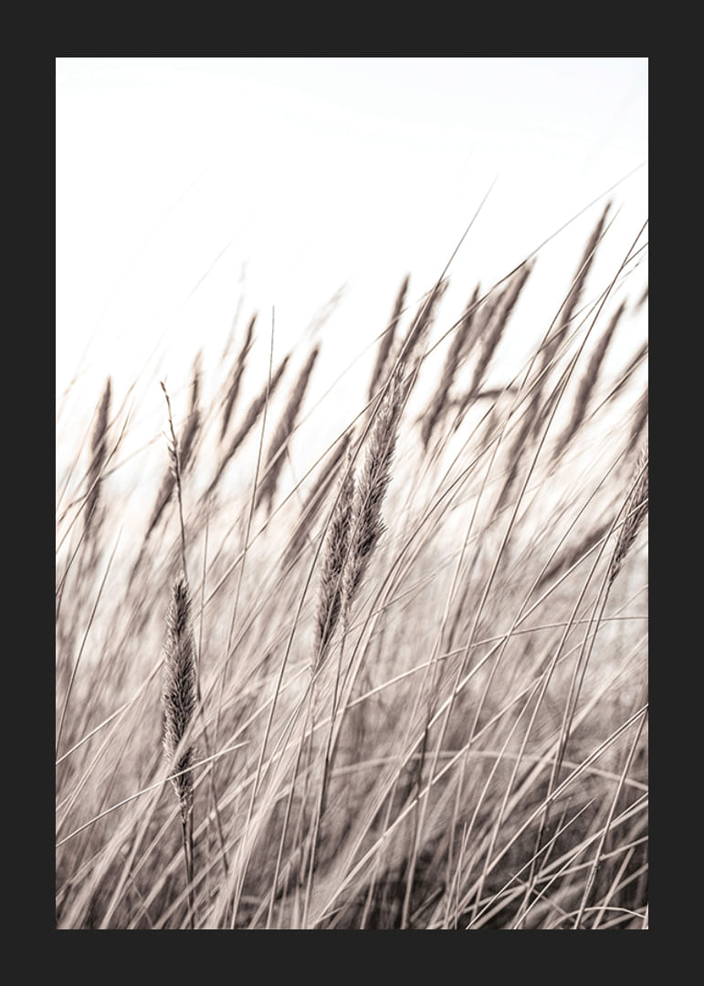 Fotografía de hojas de hierba secas en tonos beige y marrón.-12